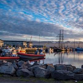 The Whales of Husavik, Iceland